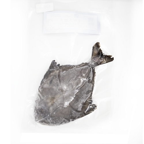 Black_Pomfret_WR_(VP)_297927_02