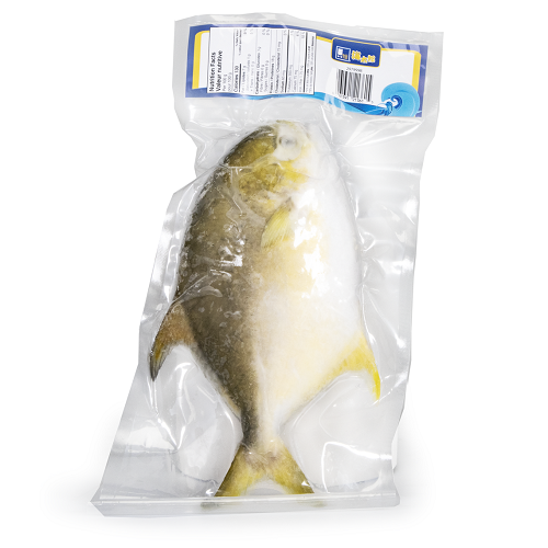 Pompano_Golden_WR_IQF_(IVP)_29799B_02