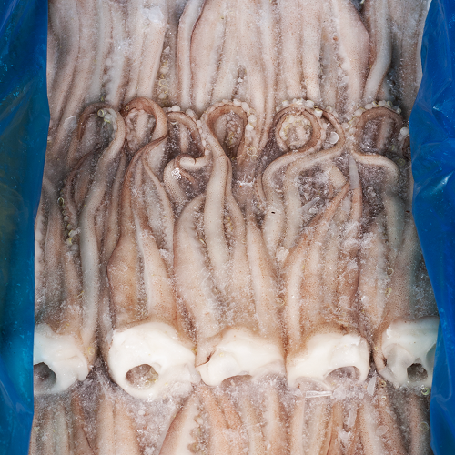 Squid_Tentacle_CD_Chef